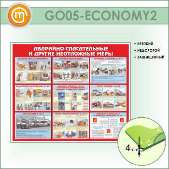 ����� ���������-������������ � ������ ���������� ����� (GO-05-ECONOMY2)