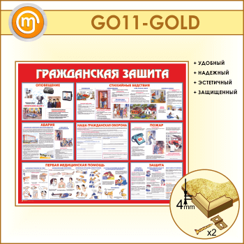 ����� ������������ ������ (GO-11-GOLD)