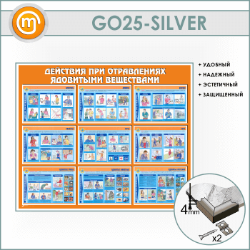 ����� ��������� ��� ���������� ��������� ���������� (GO-25-SILVER)