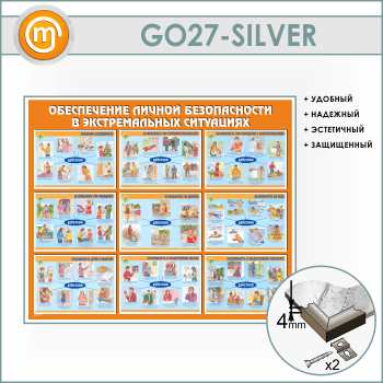 ����� ������������ ������ ������������ � ������������� ���������� (GO-27-SILVER)