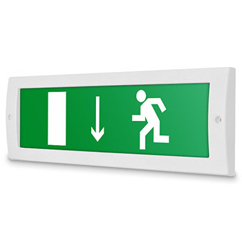 �������� ����� ���������� ����� �������������� ������ (�������������)�, ������ (12�)