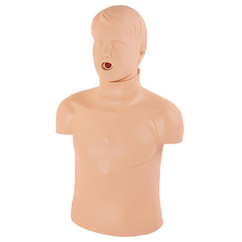 �������� ���� ��������������� �������� � ���