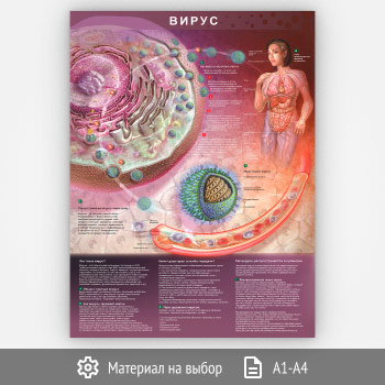 ������ ������ (�-29, 1 ����)