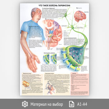 ������ ���� ����� ������� ����������?� (���-29, 1 ����)