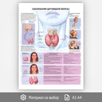 ������ ������������ ���������� ������� (���-36, 1 ����)